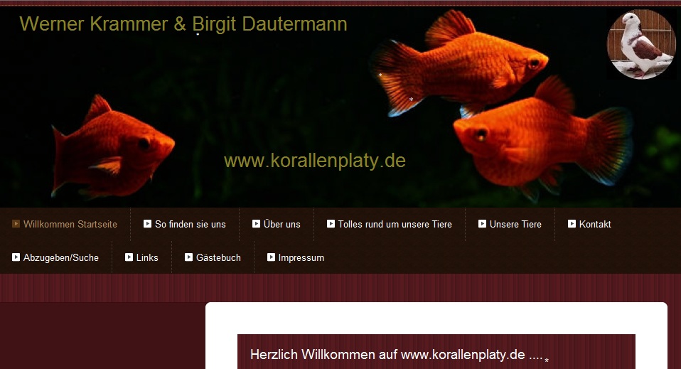 You are currently viewing KORALLENPLATY.de (Vorstellung)