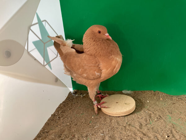 Bild Galeriebild